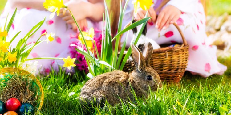 Surprize de la meteo: Cum va fi vremea în ajunul Învierii Domnului