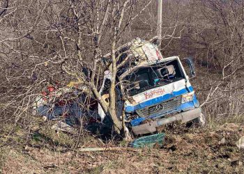 Accident pe traseul Anenii Noi-Căușeni: Un camion s-a izbit de un copac | FOTO