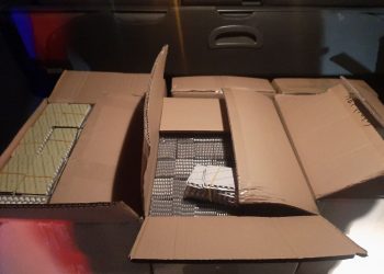 Alți patru bănuiți în dosarul anabolizantelor cu implicarea mijlocului de transport diplomatic arondat ambasadei Moldovei la Moscova, reținuți