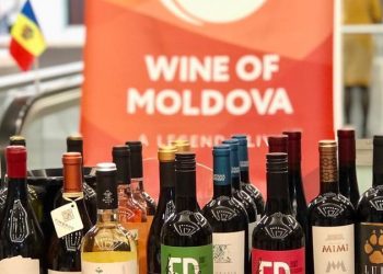 Seceta și pandemia au afectat grav industria vinului moldovenesc. Prognozele specialiștilor