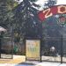 Noi locatari la Grădina Zoologică: O tigroaică a adus pe lume doi pui | FOTO