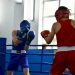 В Оргееве стартовал чемпионат по боксу: На мероприятие приехали почти 150 спортсменов | VIDEO