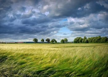 В Молдове объявлен «желтый код» метоопасности