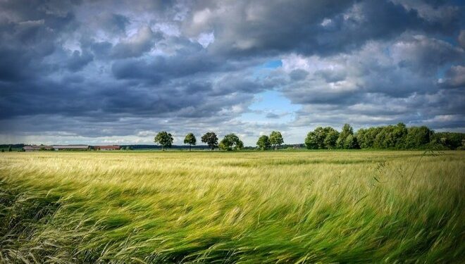 В Молдове объявлен «желтый код» метоопасности