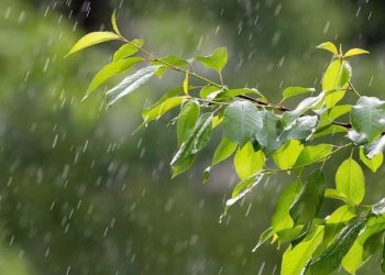 В Молдове ожидаются дожди с грозами и шквалистый ветер