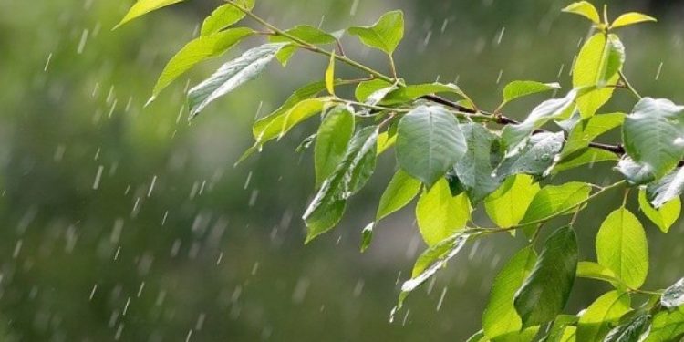 В Молдове ожидаются дожди с грозами и шквалистый ветер