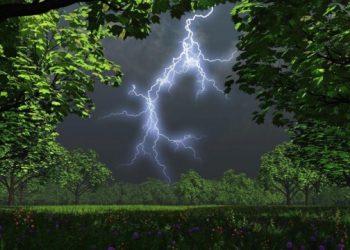 Синоптики предупреждают о штормовом ветре и дождях с грозами