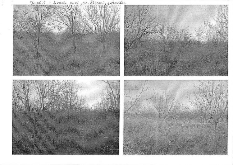 Илан Шор представил доказательства ущерба, нанесенного Banca de Economii Григорием Гачкевичем