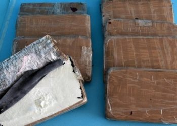 В Германии выбросили в мусор 4,5 кг кокаина