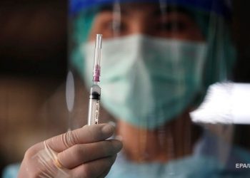 В РФ начали вакцинировать животных от COVID-19