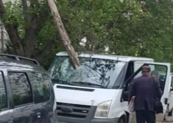 Cod Galben: O creangă mare a străpuns parbrizul unei mașini din Chișinău
