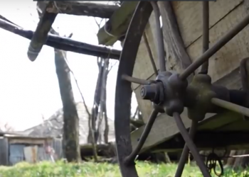 Fără apă, televizor, canalizare sau gaze naturale: În satul Armanca din raionul Rîșcani locuiesc doar trei oameni | VIDEO