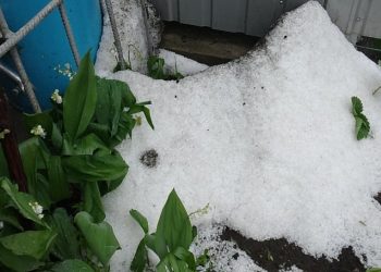 Ploaie cu grindină în nordul țării! Mai multe culturi au fost afectate – În grădinile oamenilor s-au format mormane de gheață | FOTO