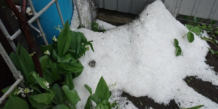 Ploaie cu grindină în nordul țării! Mai multe culturi au fost afectate – În grădinile oamenilor s-au format mormane de gheață | FOTO