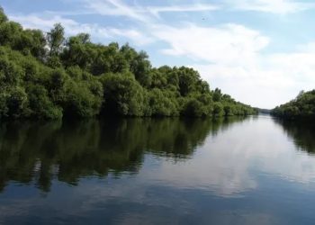 Cazul moldoveanului care s-a înecat în Nistru, gonit de grănicerii transnistreni. Versiunea oficialilor de la Tiraspol | VIDEO