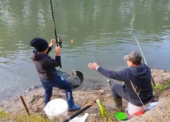Veste bună pentru pescari. În curând va fi permis pescuitul scrumbiei de Dunăre