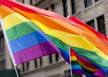 Pedeapsă penală pentru „propaganda homosexualității”. PSRM va înregistra proiectul pentru modificarea Constituției