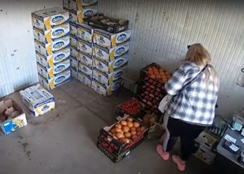 Chișinău: A vrut să cumpere fructe, dar a furat zeci de mii de lei din geanta vânzătoarei | VIDEO