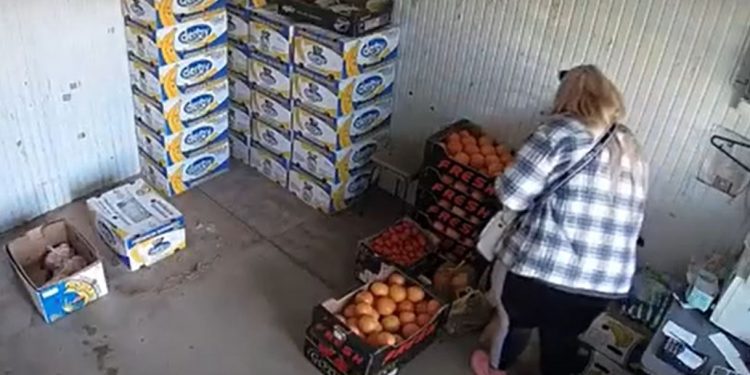 Chișinău: A vrut să cumpere fructe, dar a furat zeci de mii de lei din geanta vânzătoarei | VIDEO