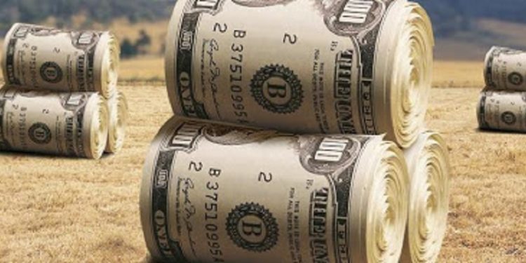 17 companii, percheziționate de CNA, într-un dosar deschis pe numele unor funcționari de rang înalt de la AIPA și FNDAMR | VIDEO