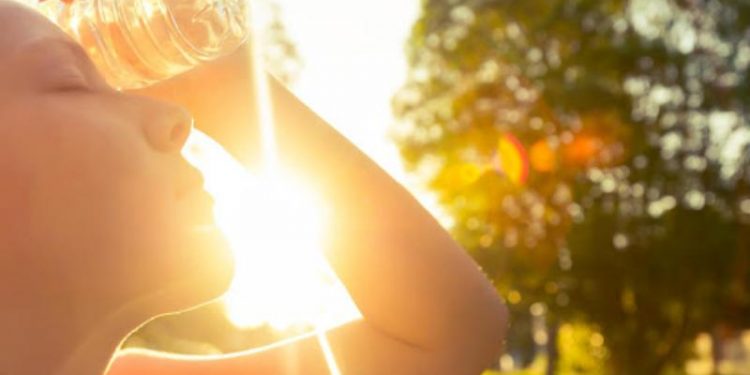 Сколько человек вызвали скорую помощь из-за солнечных ударов