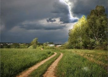 Синоптики вновь предупреждают о грозах и ливнях