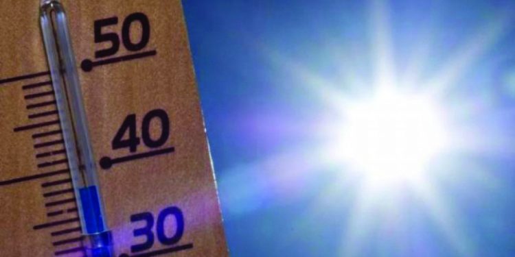 Vreme caniculară, în Germania. Autoritățile au emis Cod Roșu de izbucnire a incendiilor | VIDEO