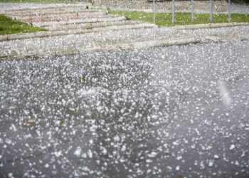 Сотни гектаров сельхозугодий пострадали от прошедших ливней с градом