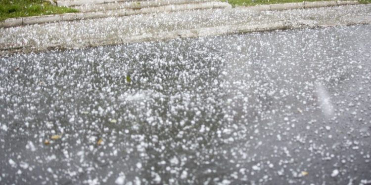 Сотни гектаров сельхозугодий пострадали от прошедших ливней с градом