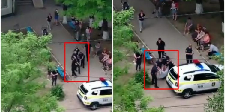 Полиция нашла хозяйку собаки, которая покусала четырех людей