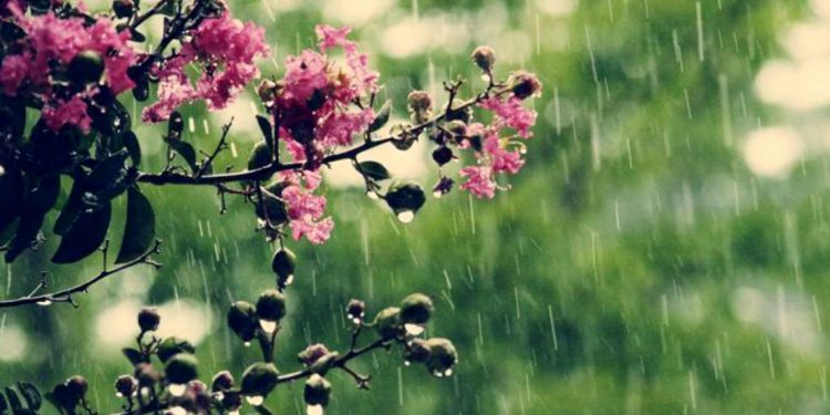 Prognoza meteo la sfârșit de săptămână: Ce surprize ne aduce vremea