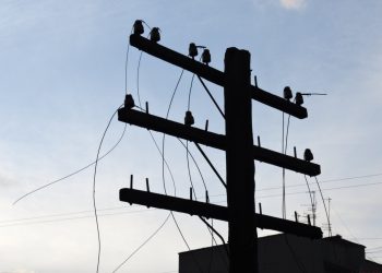 Detalii despre bărbat, care a rămas blocat pe un pilon înalt de cinci metri: Victima este originară din satul Zaim | VIDEO