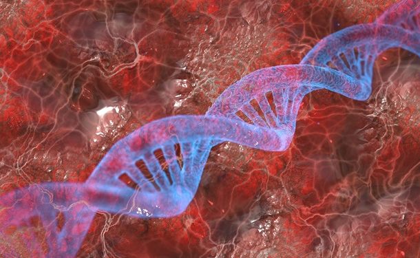 Человеческий геном полностью расшифровали