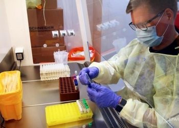 В Бразилии зафиксировали новый штамм коронавируса