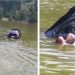Momentul în care un poliţist salvează o femeie, căzută cu maşina în lac | VIDEO