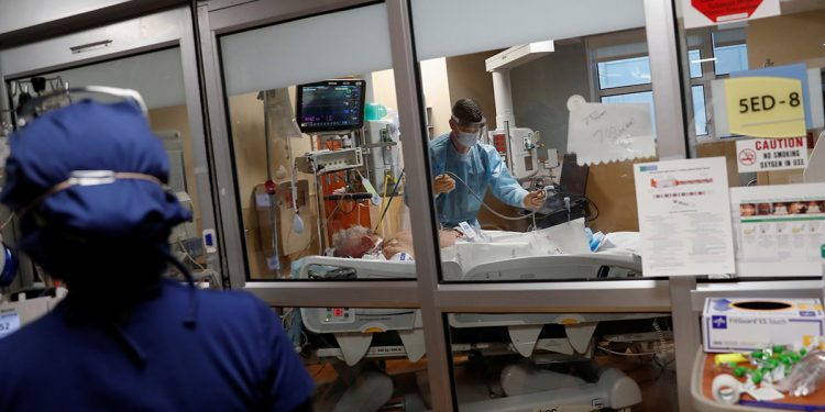 У индийского штамма коронавируса нашли две мутации «дельта плюс»