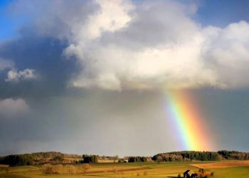 Prognoza meteo: Ploi cu descărcări electrice în toată ţara și maxime de până la 32 de grade Celsius