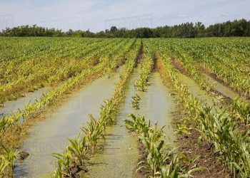 Prejudicii în urma ploilor: Nordul și centrul țării sunt cele mai afectate | VIDEO