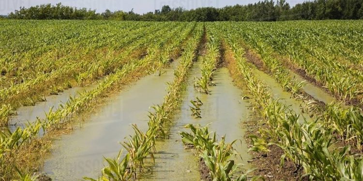 Prejudicii în urma ploilor: Nordul și centrul țării sunt cele mai afectate | VIDEO