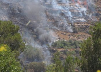 Молний не было – вероятно, поджог. Возле Иерусалима массово горят леса | VIDEO