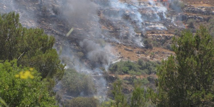 Молний не было – вероятно, поджог. Возле Иерусалима массово горят леса | VIDEO