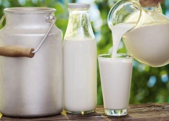 Republica Moldova va putea exporta produse lactate în UE