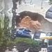 Momentul în care mai multe mașini sunt „înghițite” de un crater uriaș apărut brusc în parcarea unui spital din Ierusalim | VIDEO