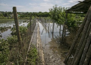 „Mă tem că voi muri, mă va lua apa cu totul și mă voi duce pe râpă”. Ce povestesc oamenii a căror gospodării și grădini au fost inundate de ploi | VIDEO