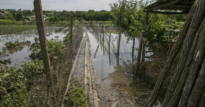 „Mă tem că voi muri, mă va lua apa cu totul și mă voi duce pe râpă”. Ce povestesc oamenii a căror gospodării și grădini au fost inundate de ploi | VIDEO