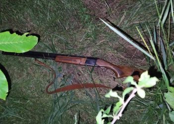 Vânătoare ilegală și transport de bunuri fără acte, în zona de frontieră frontieră | FOTO