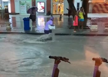 Людей сносит потоками воды после ливня в Геленджике | VIDEO