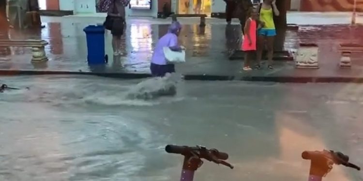 Людей сносит потоками воды после ливня в Геленджике | VIDEO