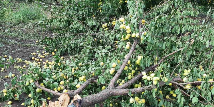 В Гагаузии град нанес крупный ущерб