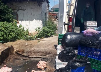 Carcase de pui, infestate cu Salmonella Enteritidis. Acestea au fost depistate la un agent economic din Bălți